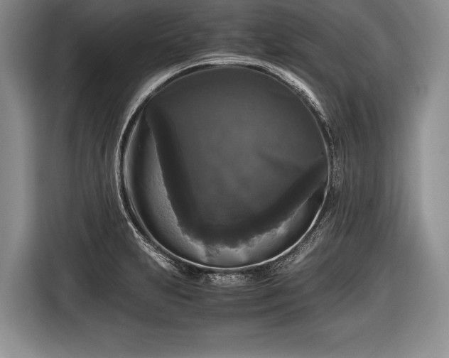 X0000116441231200912151233