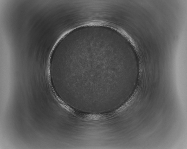 X0000116441232200912151233