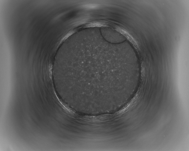 X0000116441233200912151233