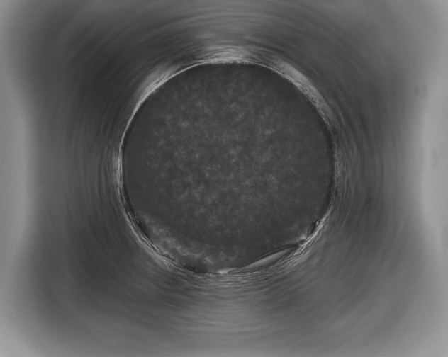 X0000116441234200912151233