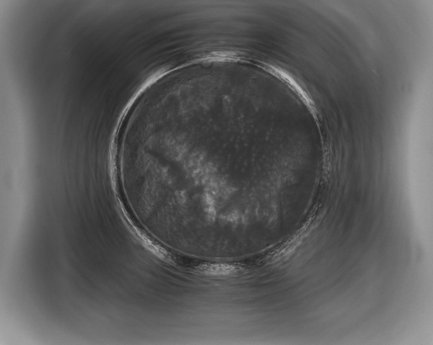 X0000116441235200912151233