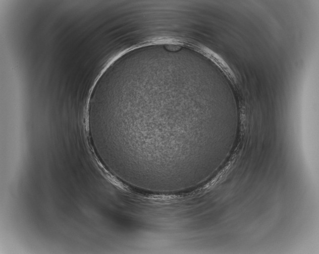 X0000116441236200912151233