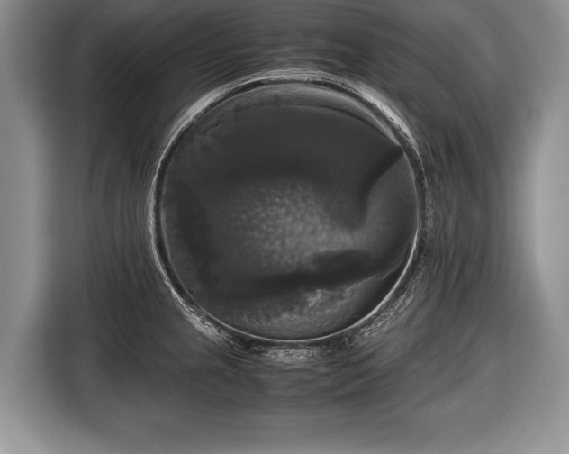 X0000116441237200912151234