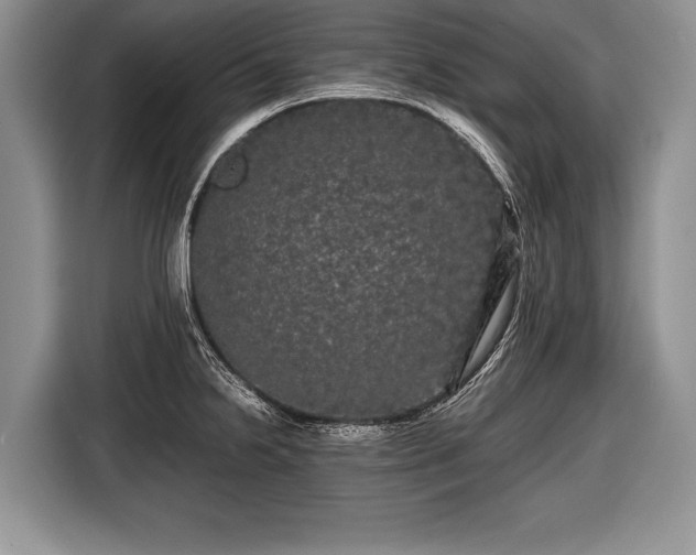 X0000116441238200912151234