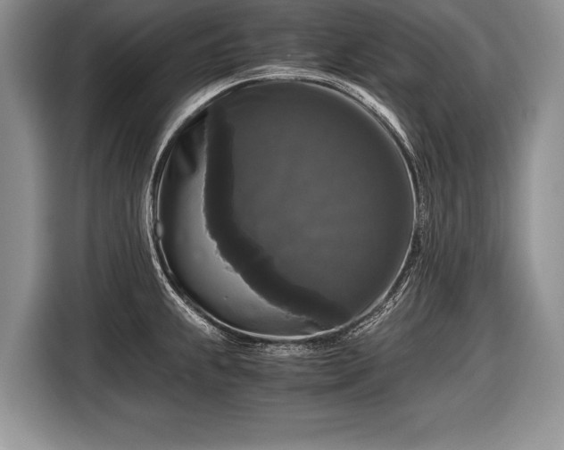 X0000116441239200912151234