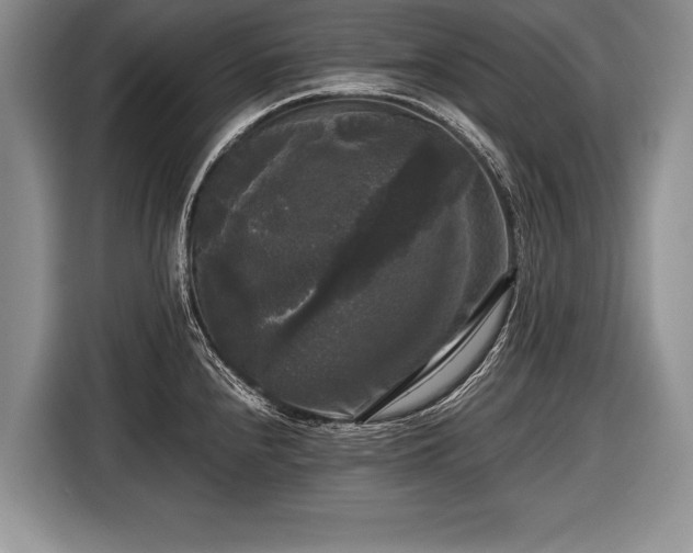 X0000116441240200912151234