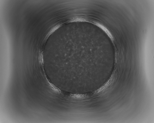 X0000116441241200912151234
