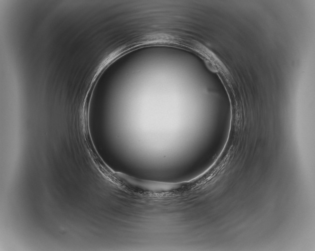 X0000116441242200912151234
