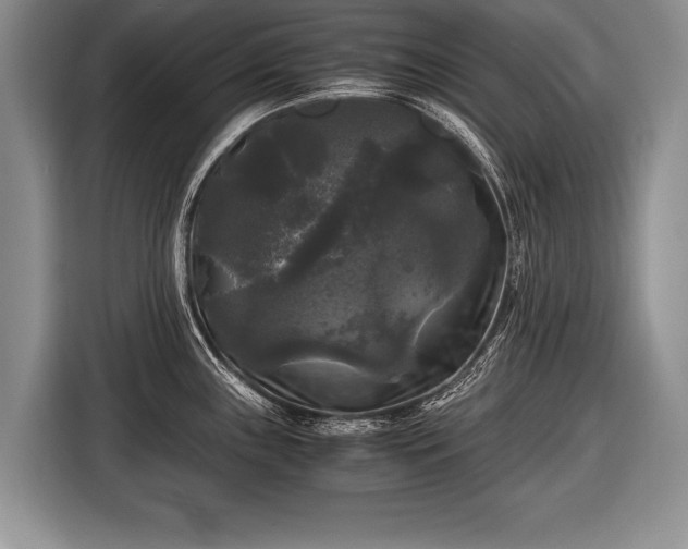 X0000116441243200912151234