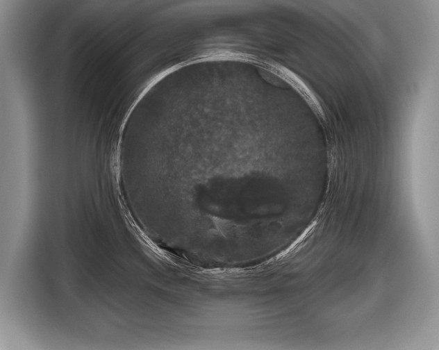 X0000116441244200912151234