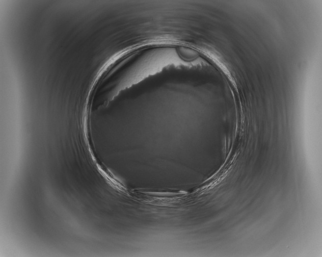 X0000116441245200912151234