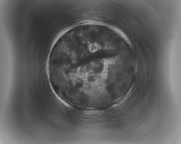 X0000116441247200912151234