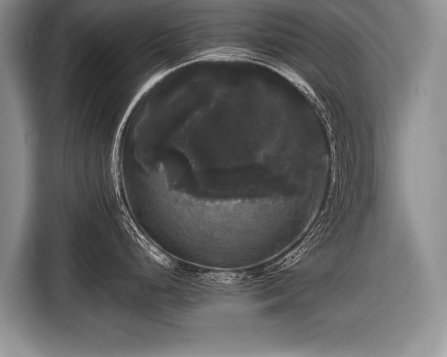 X0000116441248200912151234