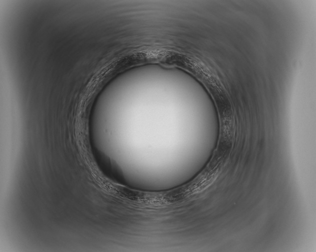 X0000116441249200912151233