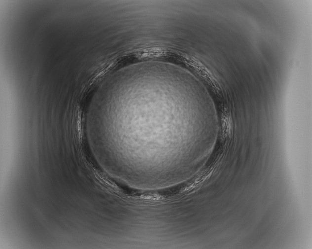 X0000116441250200912151233