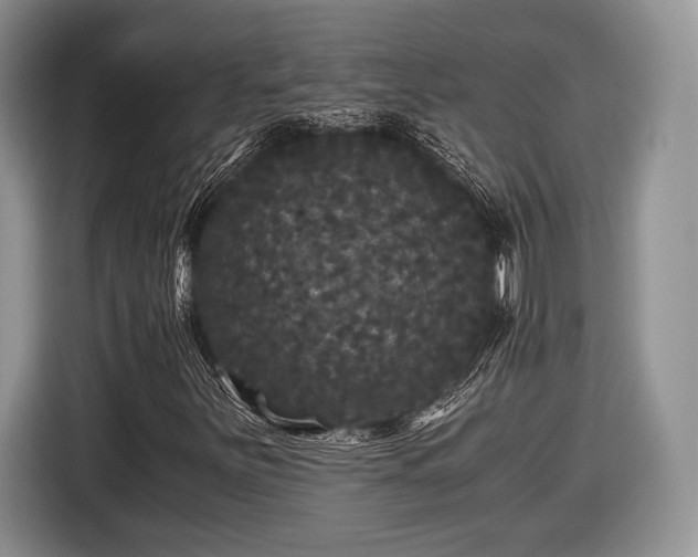 X0000116441251200912151233