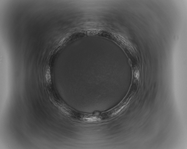 X0000116441252200912151233