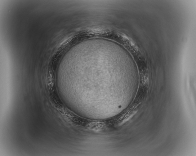 X0000116441253200912151233