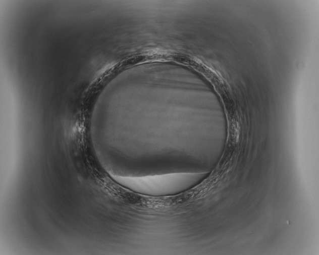 X0000116441254200912151233