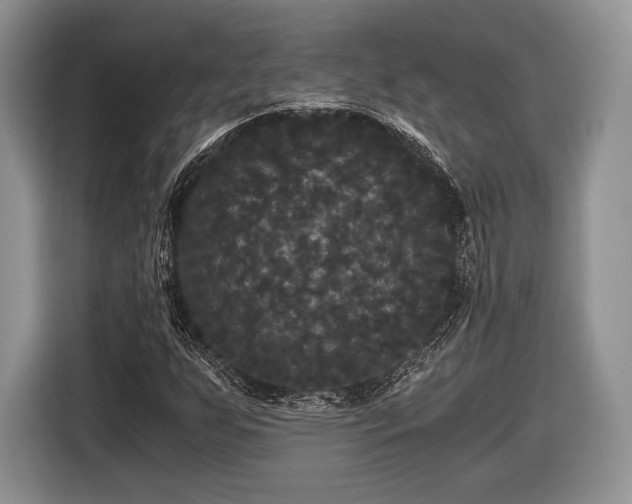 X0000116441255200912151233