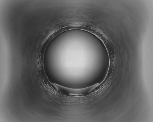 X0000116441256200912151233
