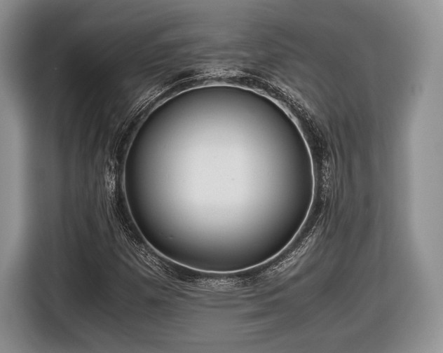X0000116441257200912151233