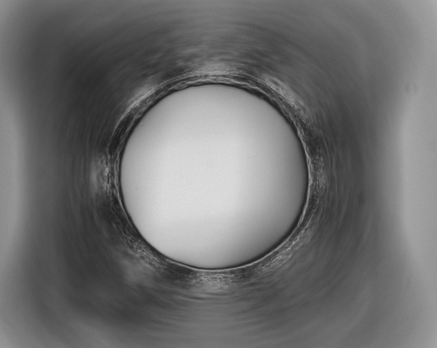 X0000116441258200912151233
