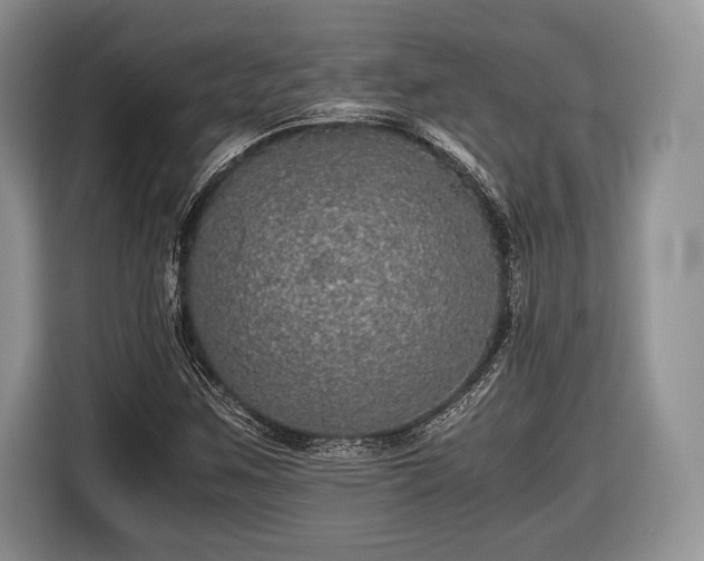 X0000116441259200912151233