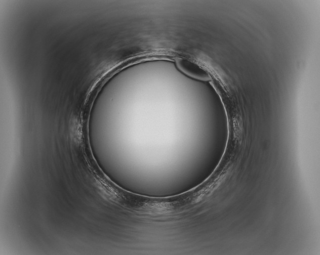 X0000116441260200912151233