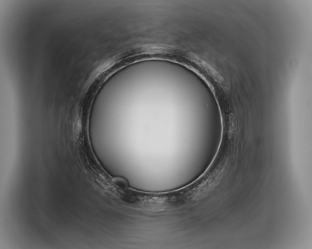 X0000116441261200912151233