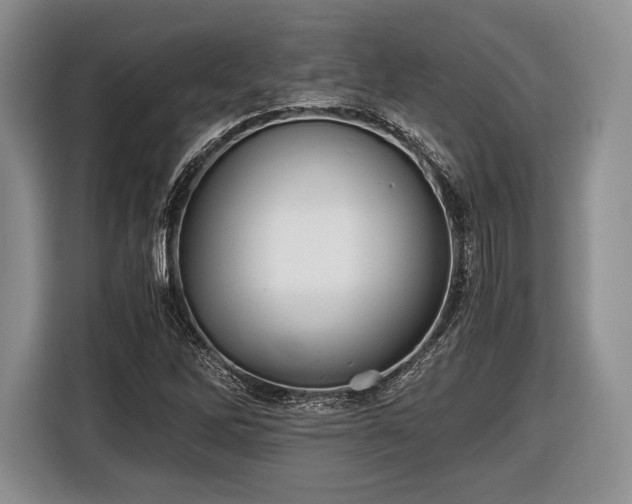 X0000116441262200912151233