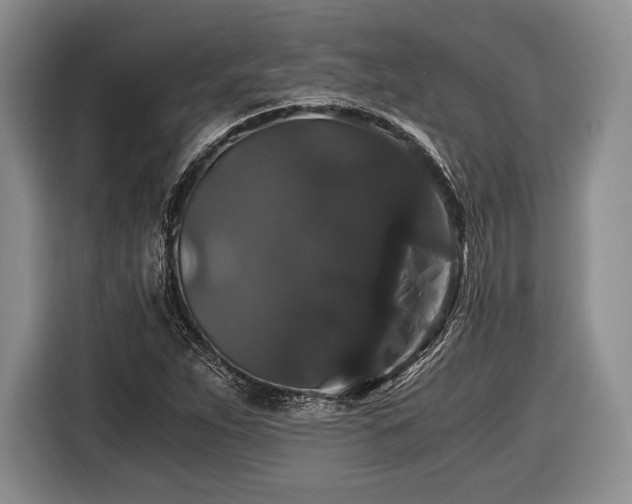 X0000116441263200912151233