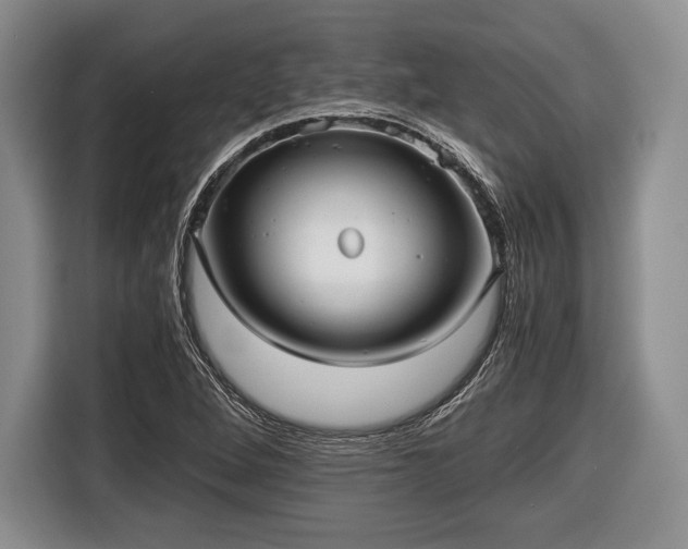 X0000116441264200912151233