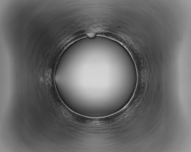 X0000116441265200912151233