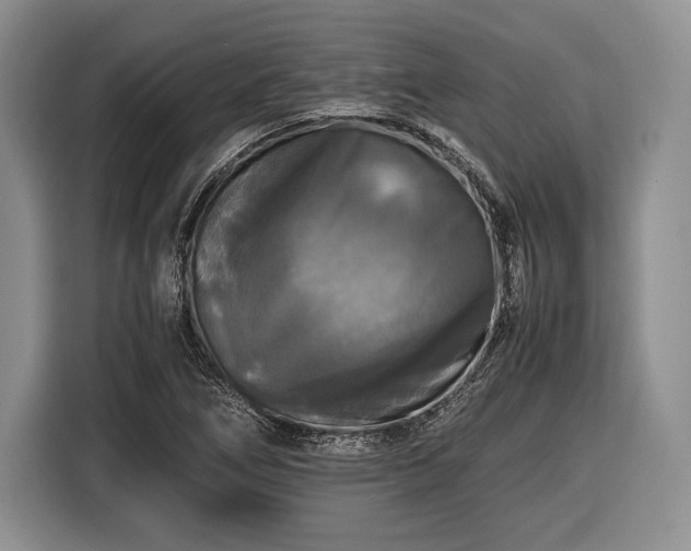 X0000116441266200912151233