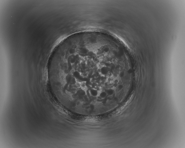 X0000116441267200912151233
