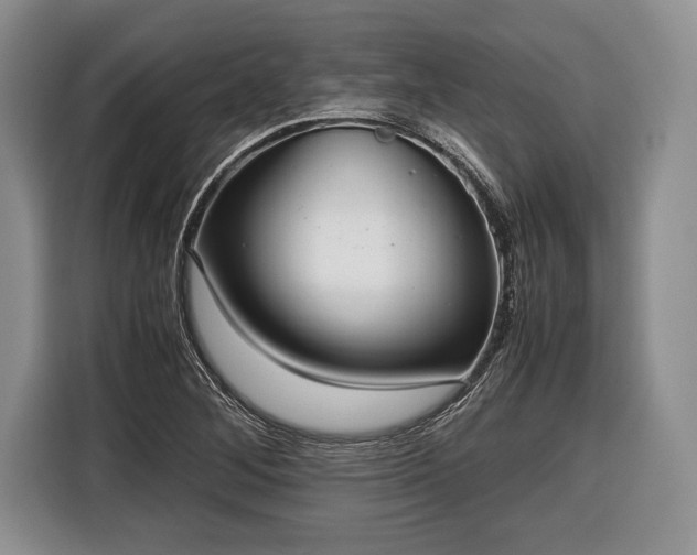 X0000116441268200912151233