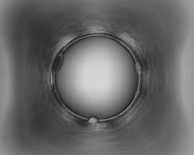 X0000116441269200912151233