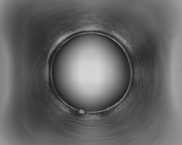 X0000116441270200912151233
