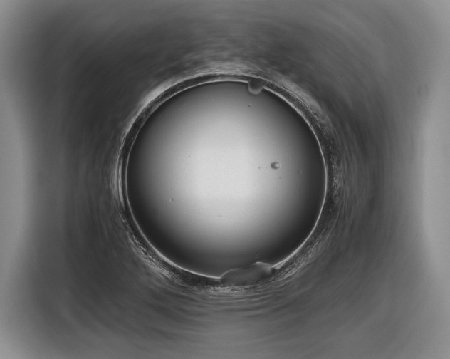 X0000116441272200912151233