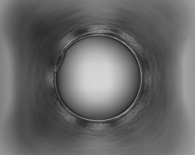 X0000116441273200912151233