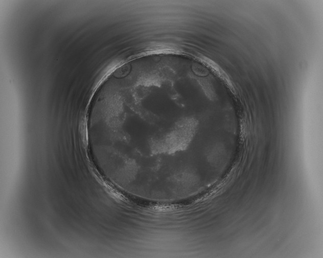X0000116441274200912151233