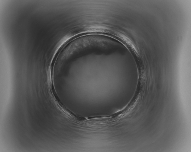 X0000116441275200912151233