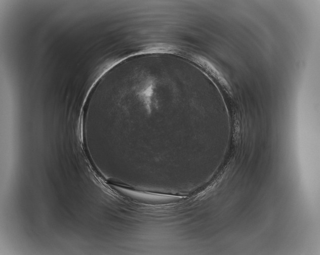 X0000116441276200912151233