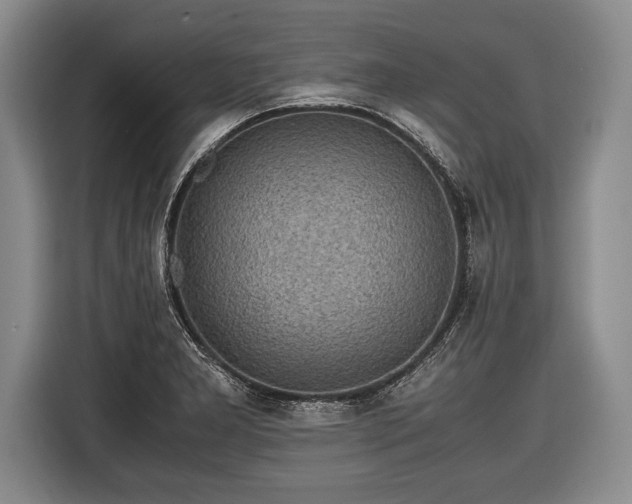 X0000116441277200912151232
