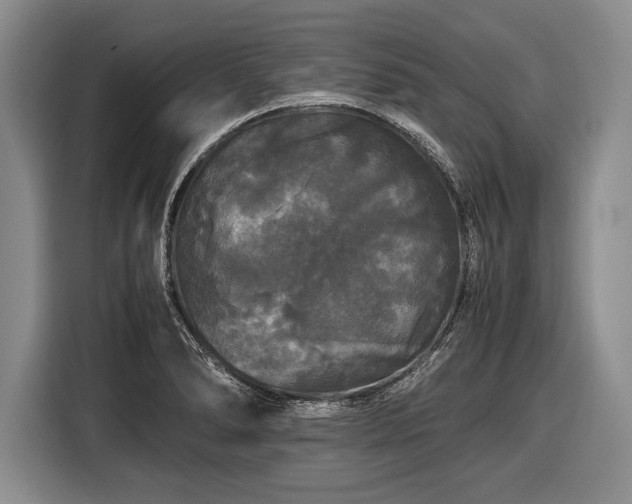 X0000116441278200912151232