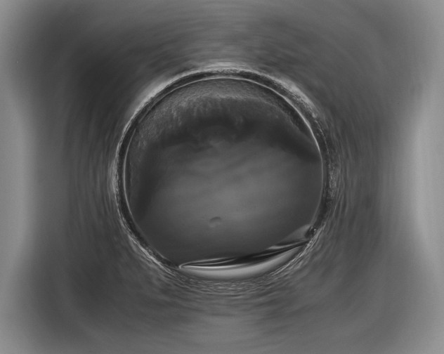 X0000116441279200912151232