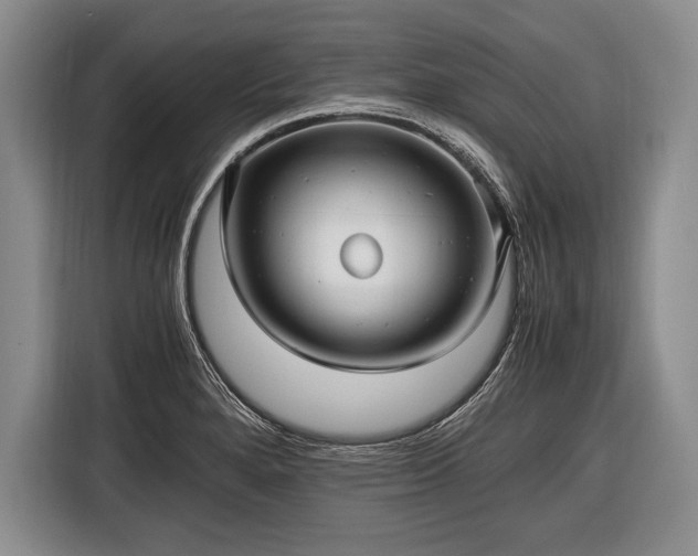 X0000116441280200912151232