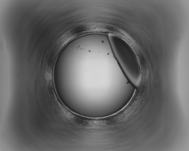 X0000116441281200912151232