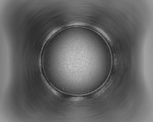 X0000116441282200912151232